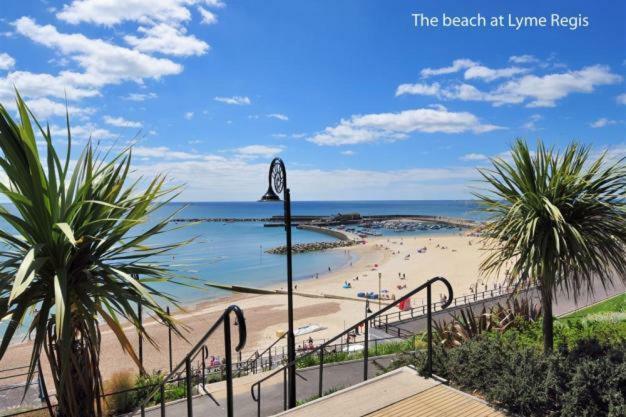 Little Monmouth 4 Bedroom Cottage, Old Town Lyme Regis, Dog Friendly And Parking エクステリア 写真