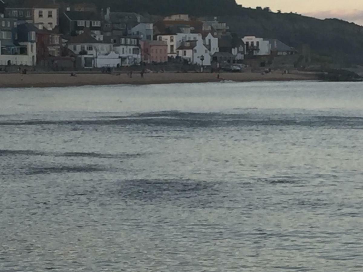 Little Monmouth 4 Bedroom Cottage, Old Town Lyme Regis, Dog Friendly And Parking エクステリア 写真